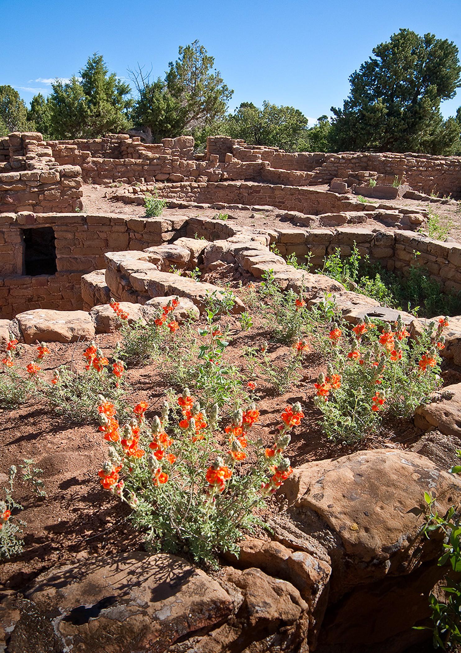 Far View Lodge Mesa Verde National Park Eksteriør bilde